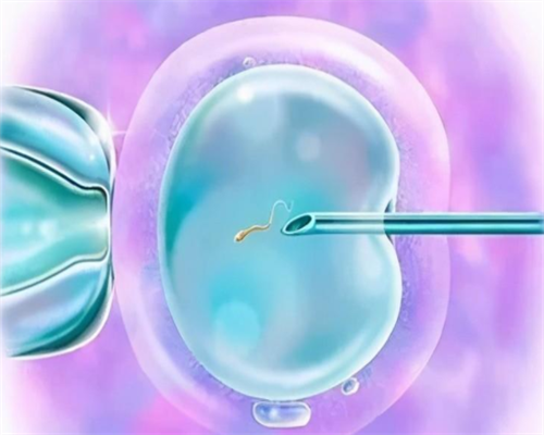 靠谱代怀,海口包生男孩正规公司_试管助孕生子助孕机构