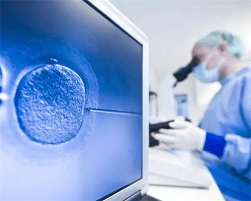 代孕哪家安全,天津试管助孕网