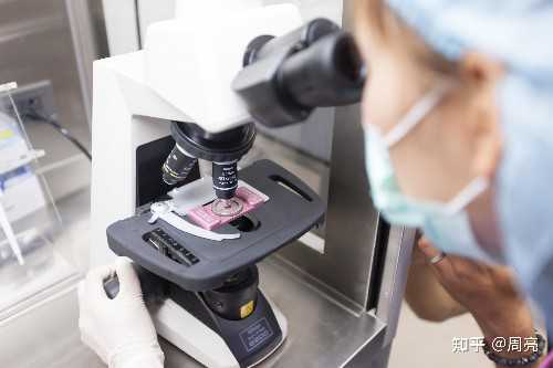 哪里有代生宝宝,2026三明第五医院试管婴儿助孕攻略，一文读懂助孕成功率多少