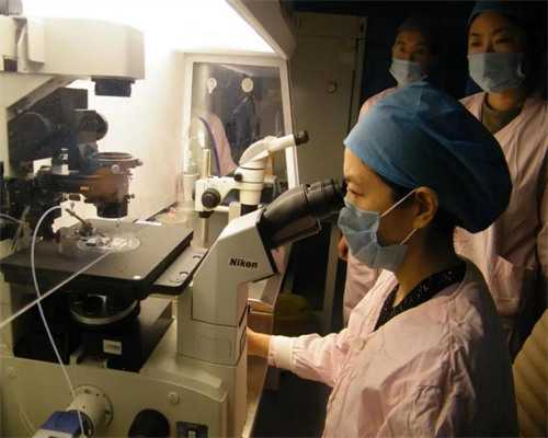 供卵助孕咨询中心_供卵试管的医院,42岁供卵做试管成功率,45岁供卵成功率