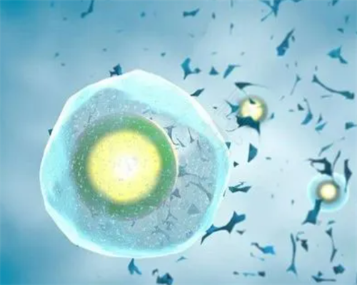 金贝供卵被骗_金贝试管中心官网|合肥助孕机构-合肥三代试管医院