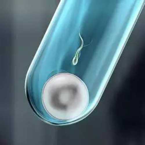 借卵生子单身,朔州三代试管助孕生儿子费用高吗