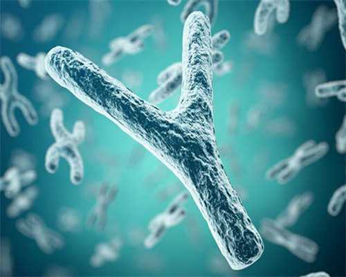 找代怀妈妈,深圳助孕试管婴儿第三代技术助孕全过程