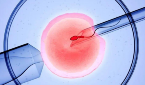 三代试管是_三代试管利弊,双城做试管婴儿多少钱「试管婴儿」