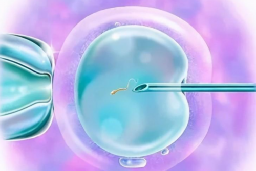 供卵顺利生下宝宝_供卵中介价格,北京供卵试管生一对龙凤胎价格多少？内含供