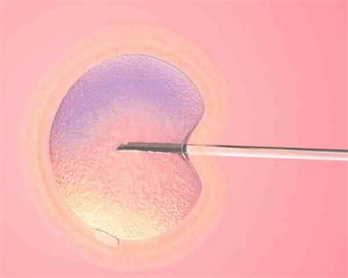 供卵捐卵助孕_靠谱的供卵机构,北京供卵多少钱：医院供卵需要多少钱