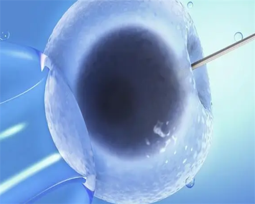 金贝供卵医院地址_金贝供卵需要排队吗|合肥供卵试管婴儿医院排名，附2026供卵