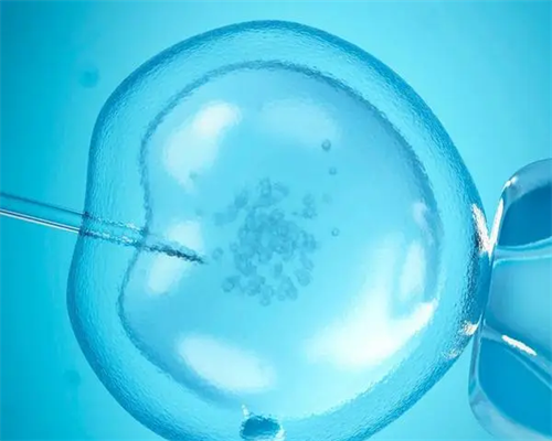 
              上海455医院有供卵中心吗？赠卵试管有什么要求？
            