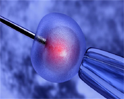 产妇能吃扇贝吗