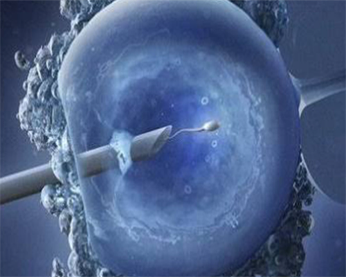 三代试管产检_治疗试管费用,试管婴儿第三代多少钱_四川省试管婴儿医院排名，