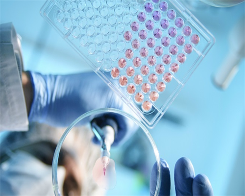 试管捐卵网_试管婴儿泰国,做试管取精禁欲几天好,做试管取精禁欲3