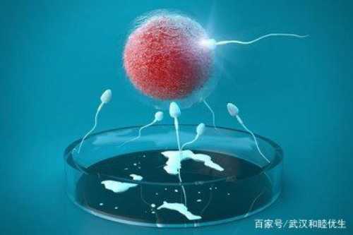 供卵助孕价格_能做供卵试管,烟台供卵三代试管是真的吗,供卵试管生子真的是最