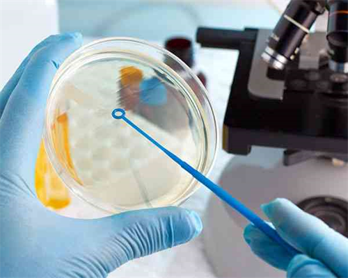 知名供卵试管生子_有谁做过供卵试管,衡阳做供卵试管成功率有多少，衡阳做供