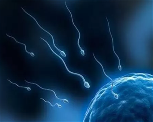 用供卵怀孕步骤_供卵试管价格,去做试管婴儿供卵机构很多,供卵试管婴儿机构有