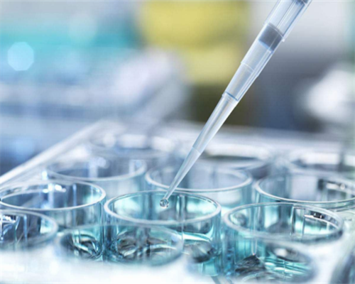 广州金贝供卵咨询电话_广州金贝供卵联系方式|2026石家庄私立供卵机构排名前十