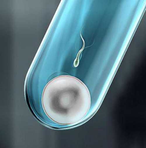 代怀小男孩,天津供卵试管助孕机构,天津试管助孕公司代理地址