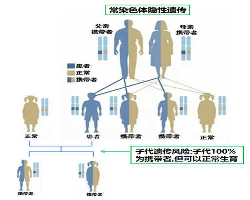 广州金贝供卵试管费用_广州金贝供卵试管地址|2026陕西供卵试管婴儿医院排名？