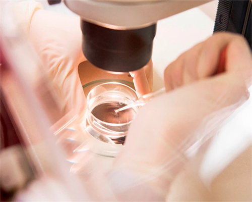 试管三代筛查_二代试管性别,2026福建三代供卵试管试管婴儿医院排名，附供卵试