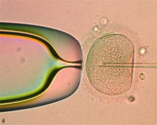 代怀正规吗,北京做助孕男孩过程-正规试管中心