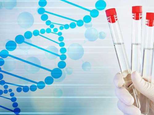 私人爱心助孕供卵_供卵试管儿,【珠海妇幼供卵试管婴儿内膜不好供卵会成功吗