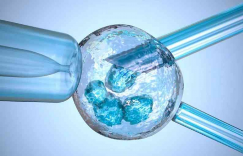 供精试管_做试管费用,吴忠试管医院-什么影响试管婴儿的成功率？试管婴儿有什