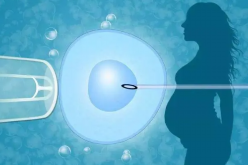 做供卵试管婴儿_试管费用出处,九江做试管婴儿哪家医院最好？九江试管和南昌