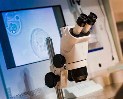 供卵试管找不到卵_的供卵不排队,天津供卵医院地址（上海哪有医院供卵）