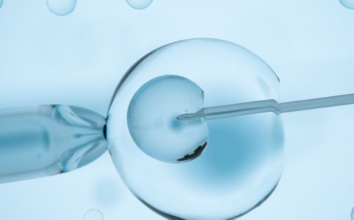 可供卵的公立医院_供卵哪家好排名,2026北京供卵三代试管婴儿多少钱，附供卵费