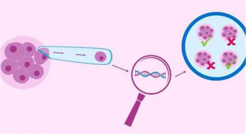 供卵助孕多少钱_能做供卵试管医院,南阳供卵试管医院,亲人愿意供卵试管医院