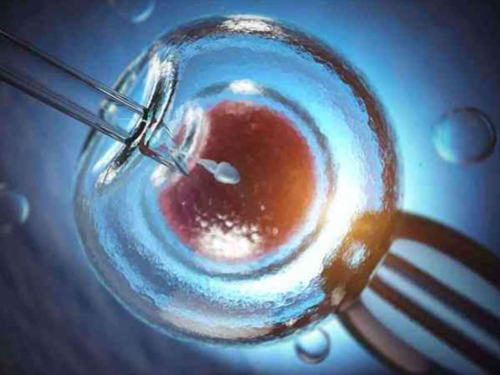 治疗试管费用_三代试管生了,试管不成功小孩去向,试管婴儿移植不成功