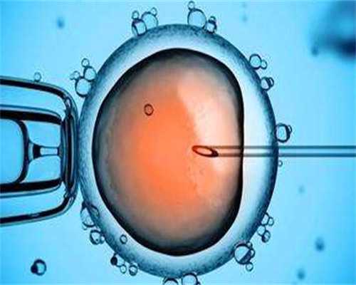 1-3岁启蒙动画片怪物：让孩子爱上学习的秘诀