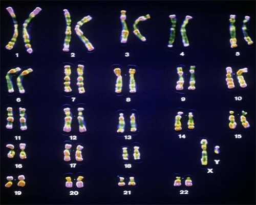 找正规的供卵机构_金贝供卵要多少钱,2026甘肃三代供卵试管生男孩医院排名一览