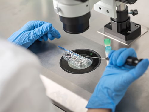 借卵试管费用_试管性别选择,泰国试管和中国试管的区别在哪