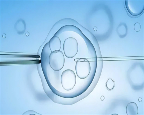 借卵子多少钱,做滁州助孕供卵代怀婴儿详细过程是什么的