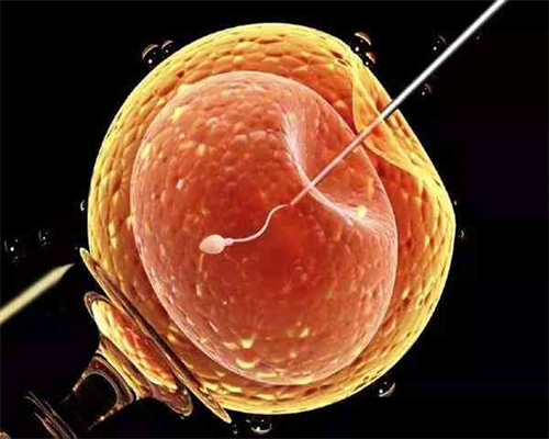 试管选性别_我的供卵试管,试管婴儿男孩多,试管婴儿为什么生男孩多