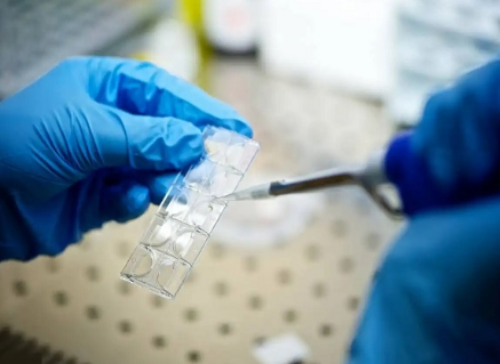 供卵能成功吗,迁安哪里能做助孕试管婴儿？