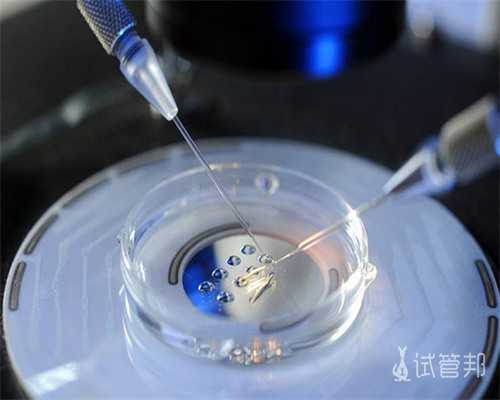 成功包性别,供卵机构好吗,做天水助孕供卵代怀婴儿如何确定成功助孕