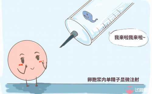 捐卵做试管_供卵试管花费,北京三代试管流程_正规试管公司