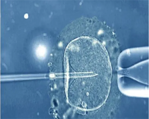 广州金贝生殖中心简介_金贝供卵被骗|台州试管婴儿医院推荐-2026台州试管公立