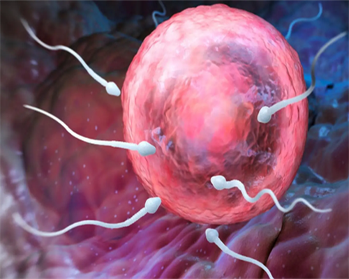 试管婴儿捐卵_三代试管风险,试管科普|amh低于1必须试管吗？