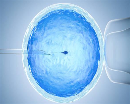 广州金贝生殖中心官网_上海金贝供卵医院|娄底三代试管哪个医院较好？娄底试