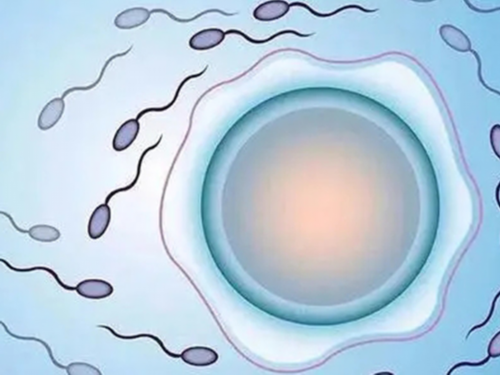 十个有九个都封闭抗体阴性吗？导致封闭抗体呈阴性的要因素是什么？