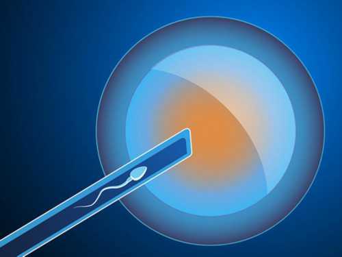 供卵合法的中心_紫朵朵供卵价格表,2026
天津市第一中心医院供卵试管费用预估