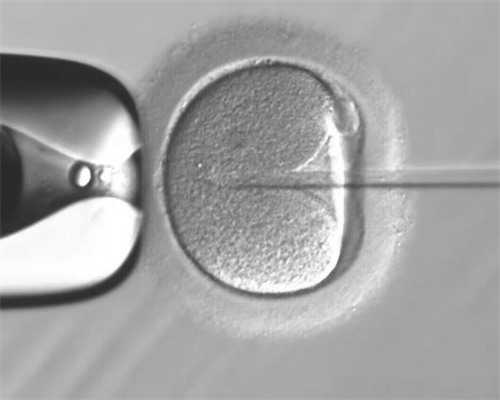 机构代孕套餐,天津三代试管助孕医院