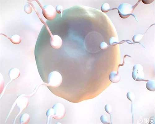 医院代孕,天津三代试管助孕中介