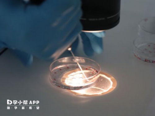 私立供卵医院,国内正规助孕机构排名？成功率高的助孕机构？