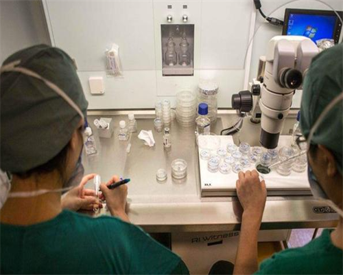 全国供卵中心,儋州哪家公立医院有供卵代怀婴儿助孕技术？