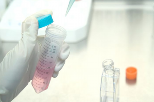 专业代生技术,吃哪些食物可以助孕