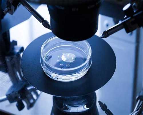 金贝供卵怎么样,多钱_广州金贝试管可靠吗|四平中心人民医院做三代试管选男孩