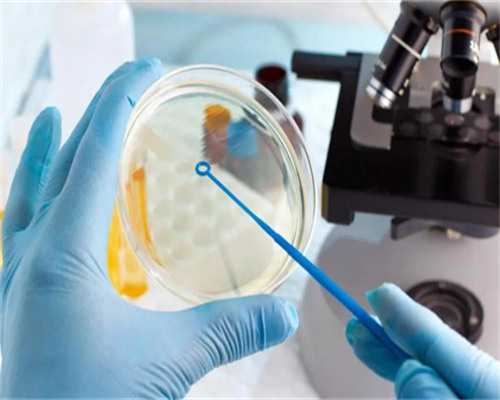 泰国皇家生殖遗传BangkokRFGCenter